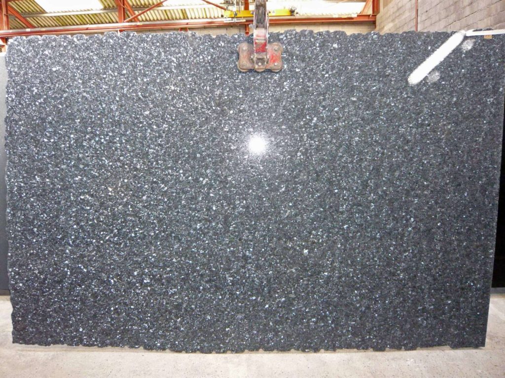 Labrador bleu HQ 2102